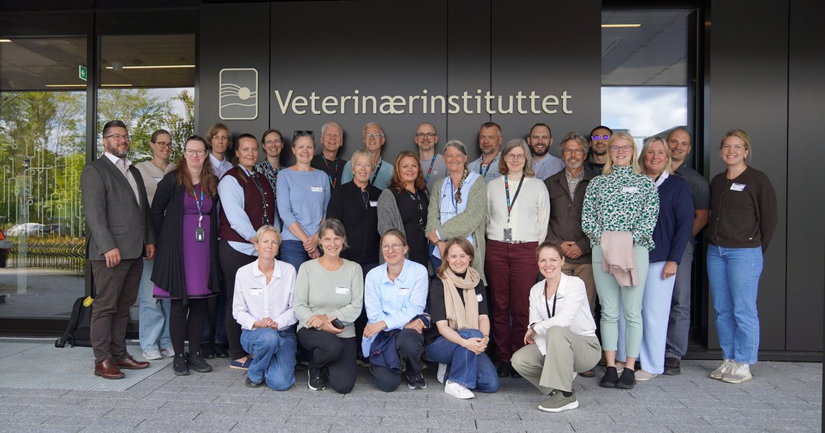 Bedre Datakvalitet I Dyrehelseregistre Veterin rinstituttet bedre-datakvalitet-i-dyrehelseregistre-veterin-rinstituttet